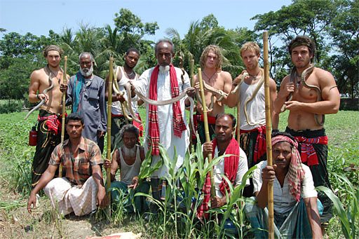 Snakes In Bangladesh