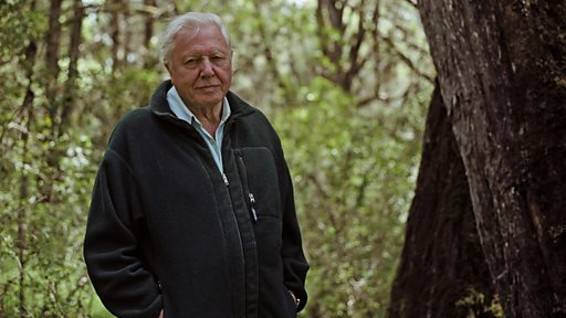 David Attenborough Africa How Many Episodes