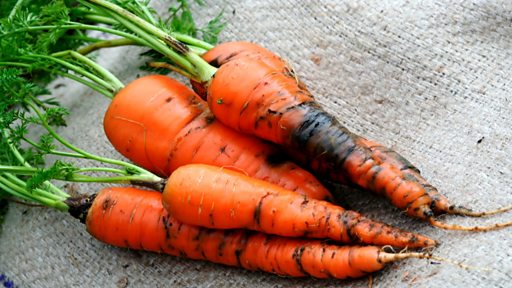 BBC Two - Gardeners' World, 2013, Episode 12