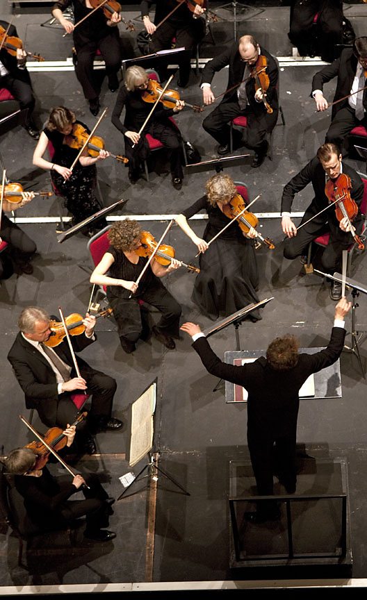 About the Orchestra