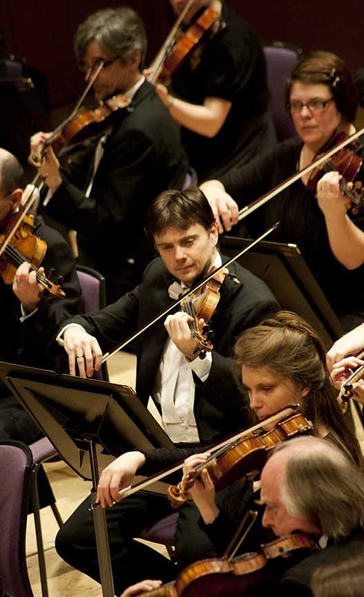 About the Orchestra