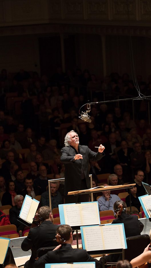 About the Orchestra