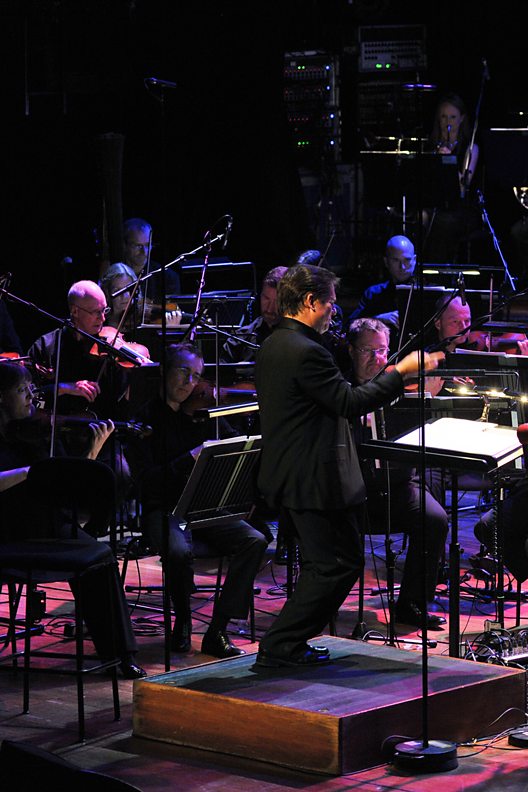 About the Orchestra