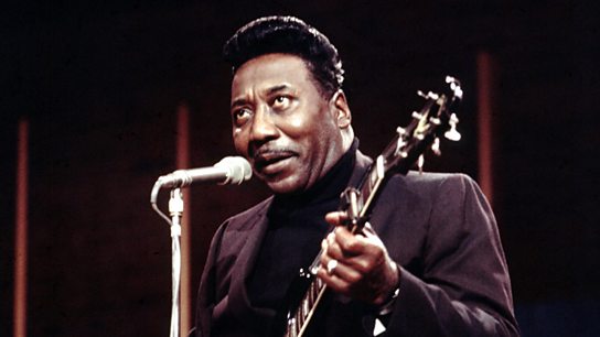Muddy Waters Muddy Waters