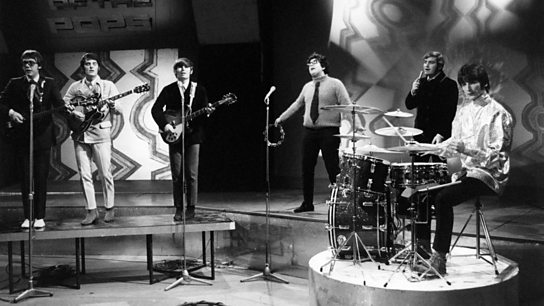 The Turtles The Turtles