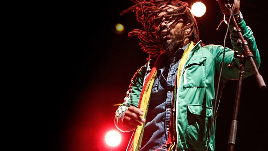 The Wailers The Wailers