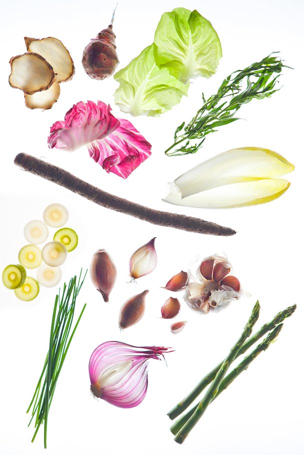 BBC iWonder What should I eat for a healthy gut?