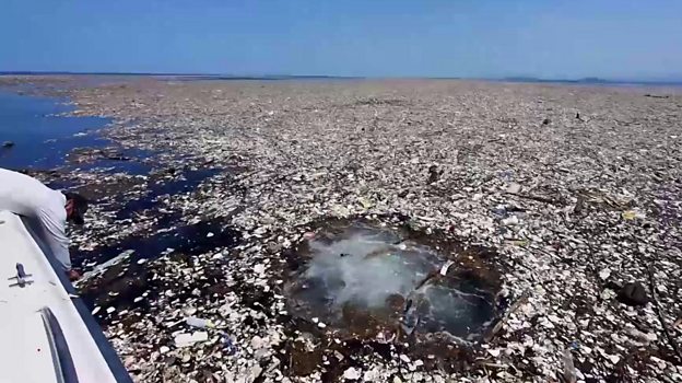 O Gigantesco Mar De Lixo No Caribe Pl Stico Animais Mortos E At