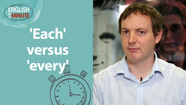 'Each' vs 'every': What are the differences?