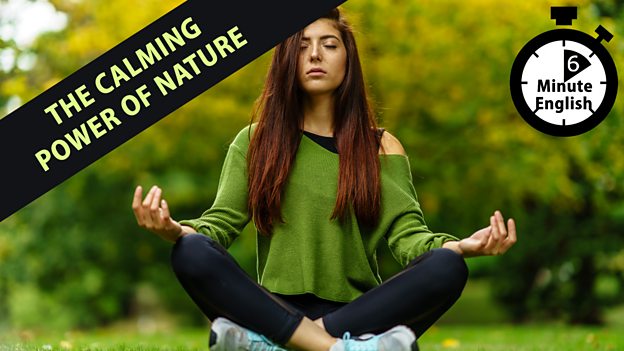 Ecotherapy: Nature can make you happier