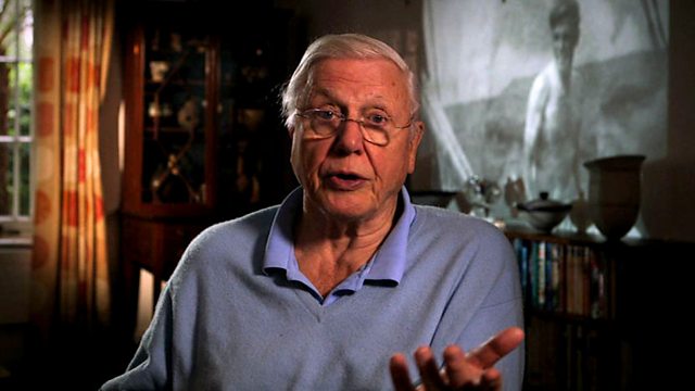 David Attenborough - The Early Years