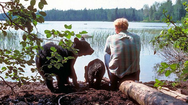 Bearwalker of the Northwoods