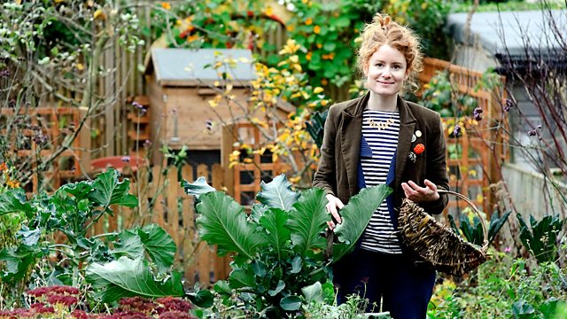 The Edible Garden