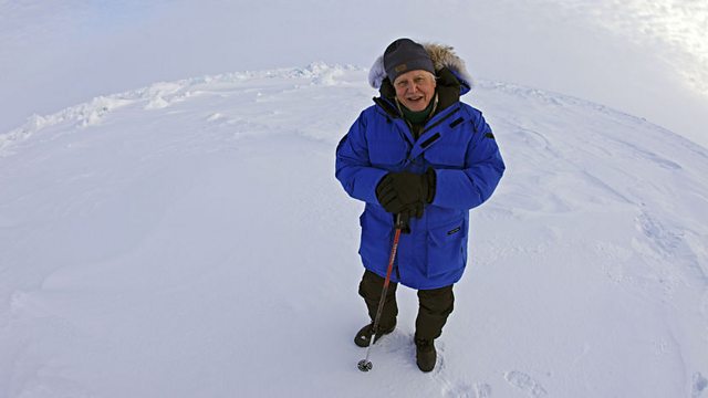 BBC Nature - Video collection: Attenborough's frozen planet