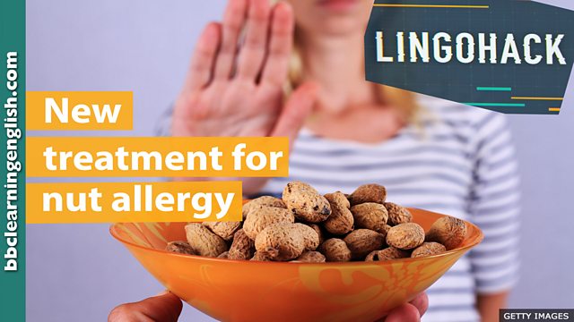 Bbc Learning English Lingohack New Treatment For Nut Allergy