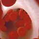 Red blood cells, or erythrocytes, in a capillary