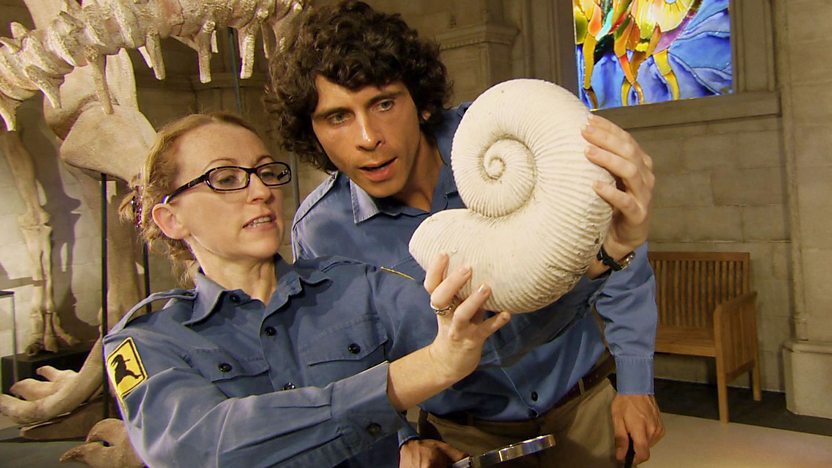 Andy's Dinosaur Adventures: 4. Eustreptospondylus and Ammonite on BBC iPlayer