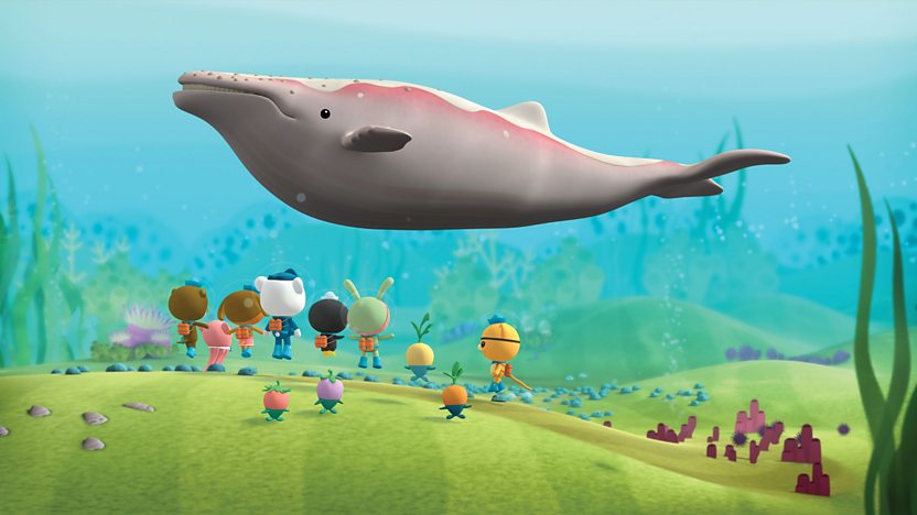 Watch 'Octonauts: Series 1: 14. The Albino Humpback Whale' On BBC ...