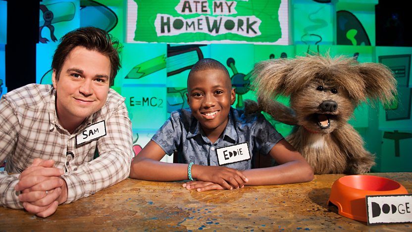 cbbc the dog ate my homework quiz