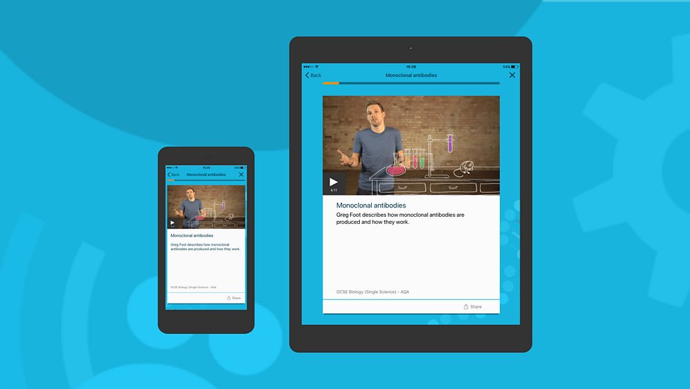 BBC Bitesize The BBC Bitesize Revision app now available on TABLET!