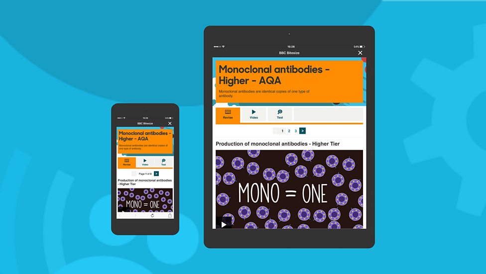 bbc-bitesize-the-bbc-bitesize-revision-app-now-available-on-tablet