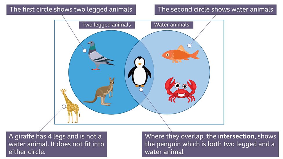 Venn Diagrams Bbc Bitesize