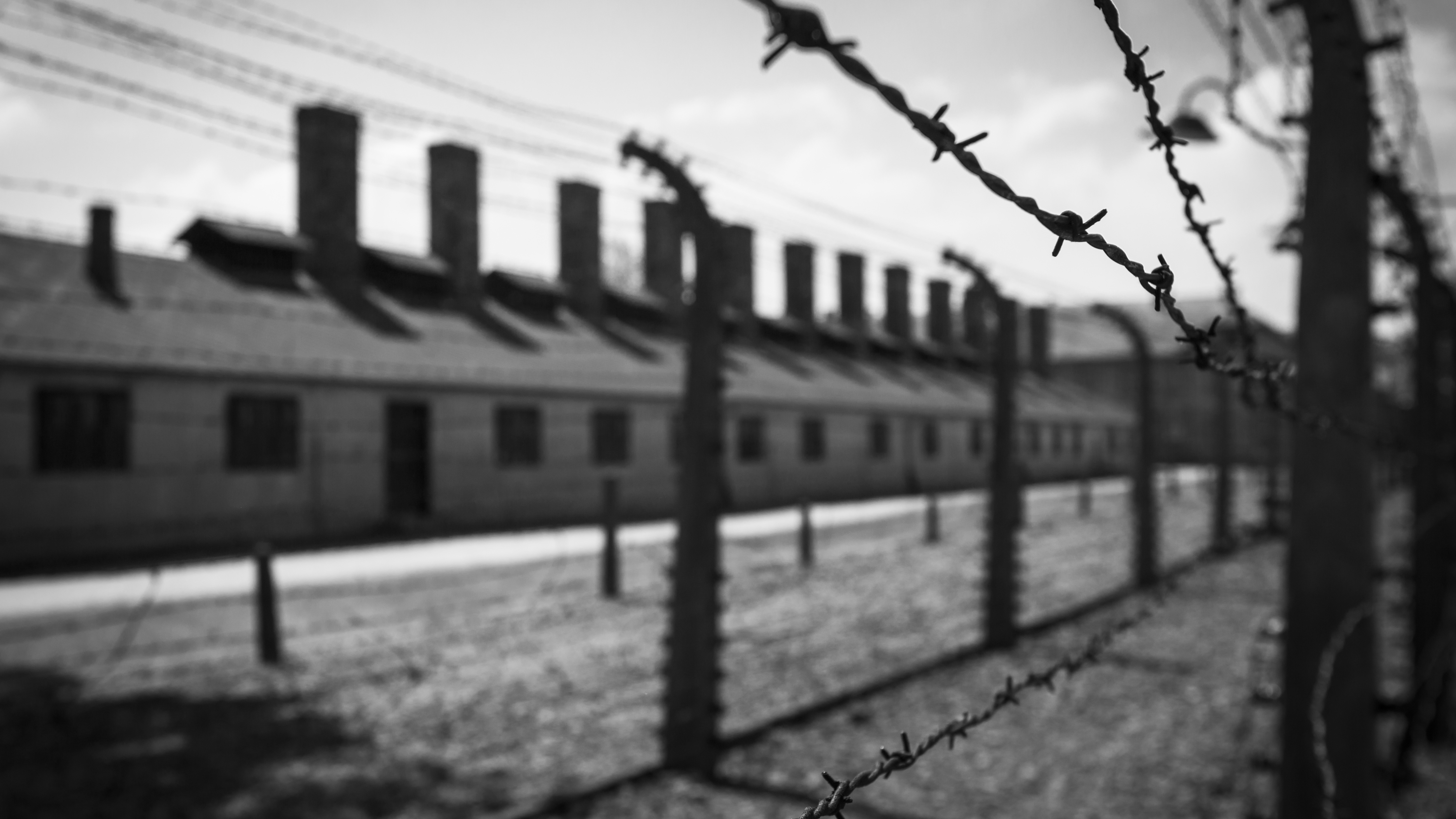 holocaust-stories-cbbc-newsround