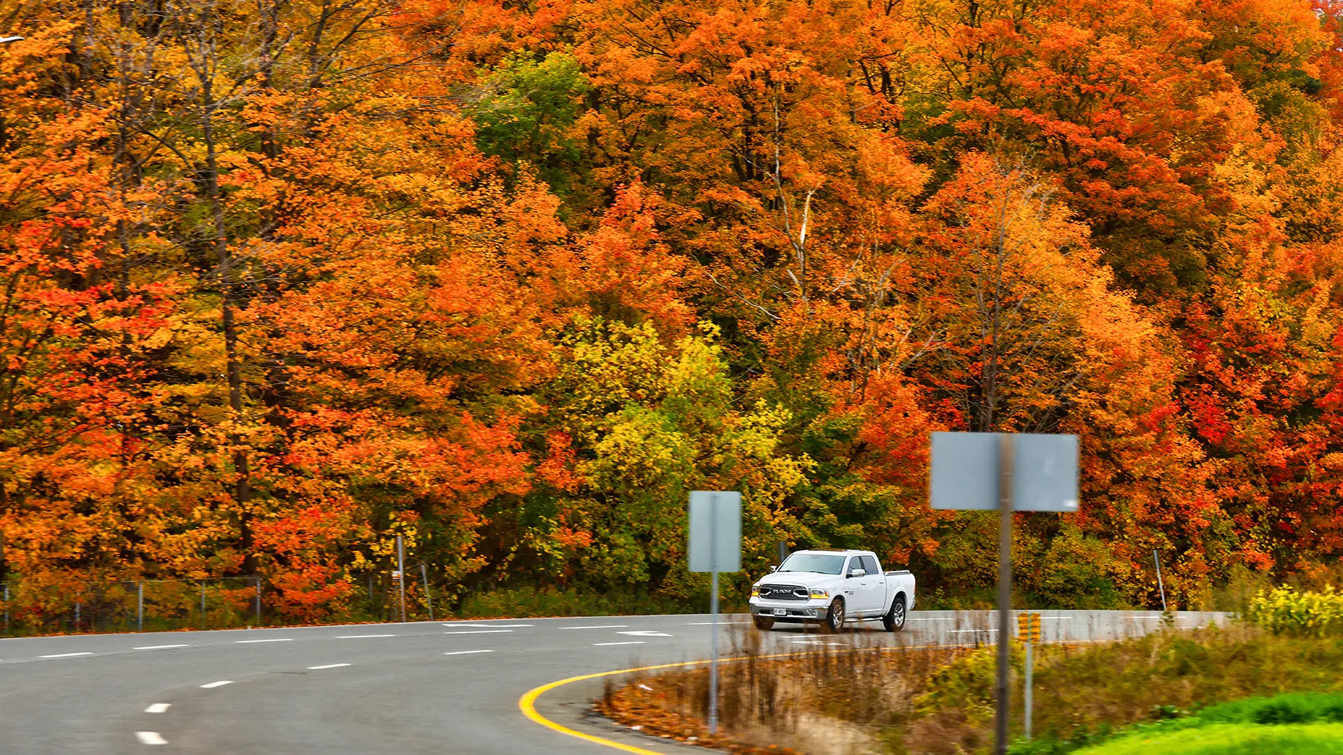 Brightly coloured red, yellow, orange, brown and green trees seen from above surround Japanese buildings (Credit: Getty Images)