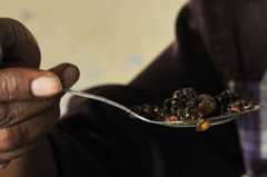 A person eats grilled caterpillars with olive oil