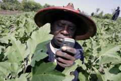 A mobile phone user in Senegal
