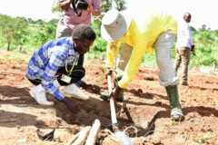Pres #Museveni demonstrates drip irrigation technique in the wake of #climatechange #TransformingUG #Agriculture