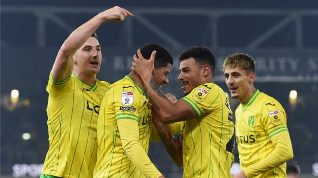 Norwich City Hull City Canaries End Winless Home Run Bbc Sport