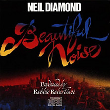 Review of Beautiful Noise