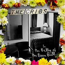 Review of In the Belly of the Brazen Bull