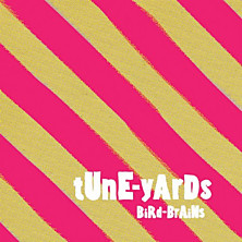 Review of BiRd-BrAiNs