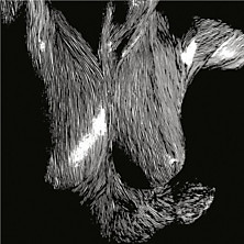 Review of Self Preserved While the Bodies Float Up