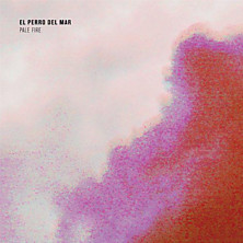 Review of Pale Fire