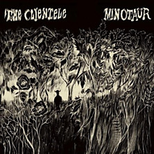 Review of Minotaur