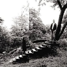 Review of Timber Timbre