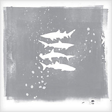 Review of Shark Remixes
