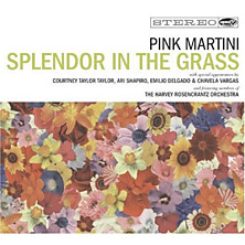 Review of Splendor in the Grass