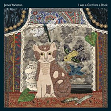 Review of I Was a Cat from a Book