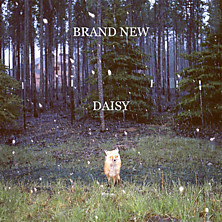 Review of Daisy