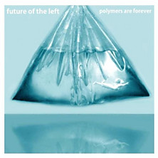 Review of Polymers Are Forever