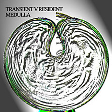 Review of Medulla