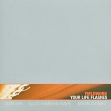 Review of Your Life Flashes