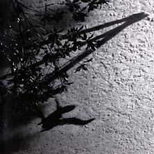 Review of The Blue Notebooks