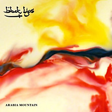 Review of Arabia Mountain