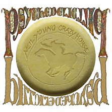Review of Psychedelic Pill