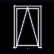 Review of Gangs